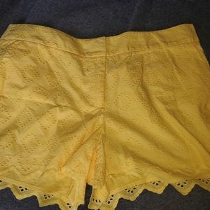 Crown and ivy eyelet shorts